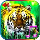 3D Animals Sounds & Wallpapers