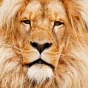برنامه Animal Sounds