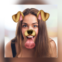 برنامه Funny Doggy Selfie Photo