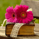 برنامه Flower Wallpapers