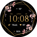 برنامه TVV Luxury Flowers Watch Face
