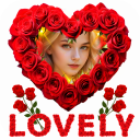 Lovely Roses