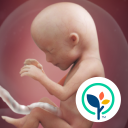 برنامه Pregnancy App & Baby Tracker