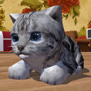 بازی Cute Pocket Cat 3D