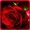 کلبه عاشقانه