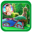 Beautiful Garden Photo Gallery