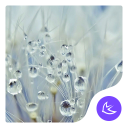 Grass in the rain-APUS Launcher theme