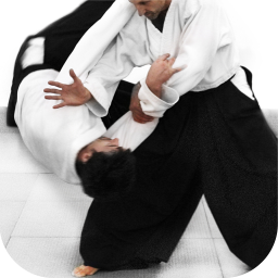 آموزش آیکیدو