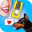 بازی Dog Translator Simulator