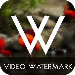 Video WaterMark