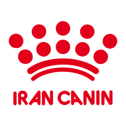 ایران کنین