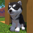 بازی Cute Pocket Puppy 3D - Part 2