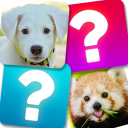 بازی Match Game: Animals
