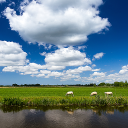 برنامه Weather in Holland: the app