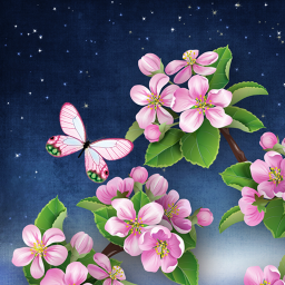 دانلود برنامه Night Sakura Live Wallpaper برای اندروید | مایکت