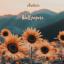 aesthetic vsco wallpapers