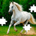 بازی Jigsaw Puzzles - Jigsawgram