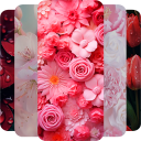 Flower Wallpaper 4K background