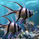 برنامه The real aquarium - LWP