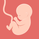 برنامه HiMommy: Pregnancy Tracker