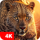 برنامه Animal Wallpapers 4K