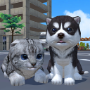 بازی Cute Pocket Cat And Puppy 3D