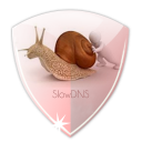 VPN Over DNS Tunnel : SlowDNS