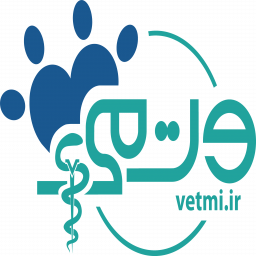 پت شاپ وت می