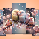 Birds and Flowers Wallpapers