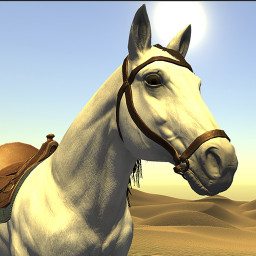Desert Racing - جراند الصحراء