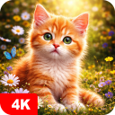برنامه Cat Wallpapers & Cute Kittens