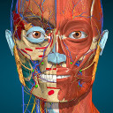 برنامه Anatomy Learning - 3D Anatomy