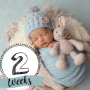 برنامه Baby Story Photo Editor App