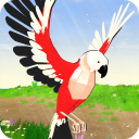 بازی Parrot Simulator
