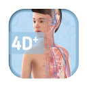 برنامه Humanoid 4D+