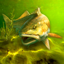 بازی My Fishing World