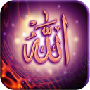 هزار و یک کتاب شیعه در یک کتاب