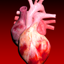 برنامه Circulatory System 3D Anatomy
