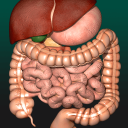 برنامه Internal Organs in 3D Anatomy