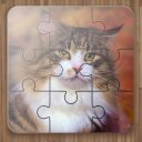 بازی Cat Puzzle Game