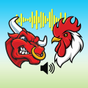 برنامه Birds & Animal Sounds