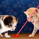 برنامه Laser Pointer for Cat