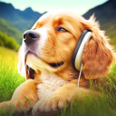 برنامه Relax Music for Dogs