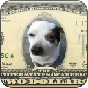 برنامه Funny Photo Collage