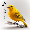 برنامه Bird Calls, Sounds & Ringtones