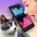 بازی Cat Translator Pet Talk Meow
