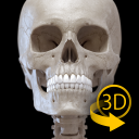 برنامه Skeleton | 3D Anatomy