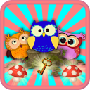 بازی Crazy Owls