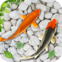 برنامه Fish Live Wallpaper Aquarium
