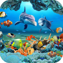 برنامه Koi Fish Live Wallpaper 3D
